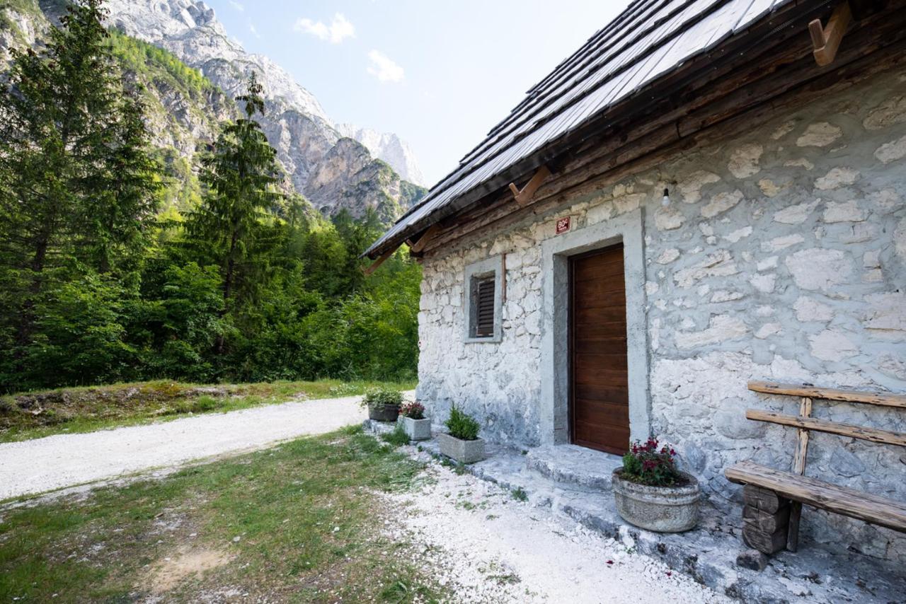 Mountain Heart Holiday House ترينتا المظهر الخارجي الصورة