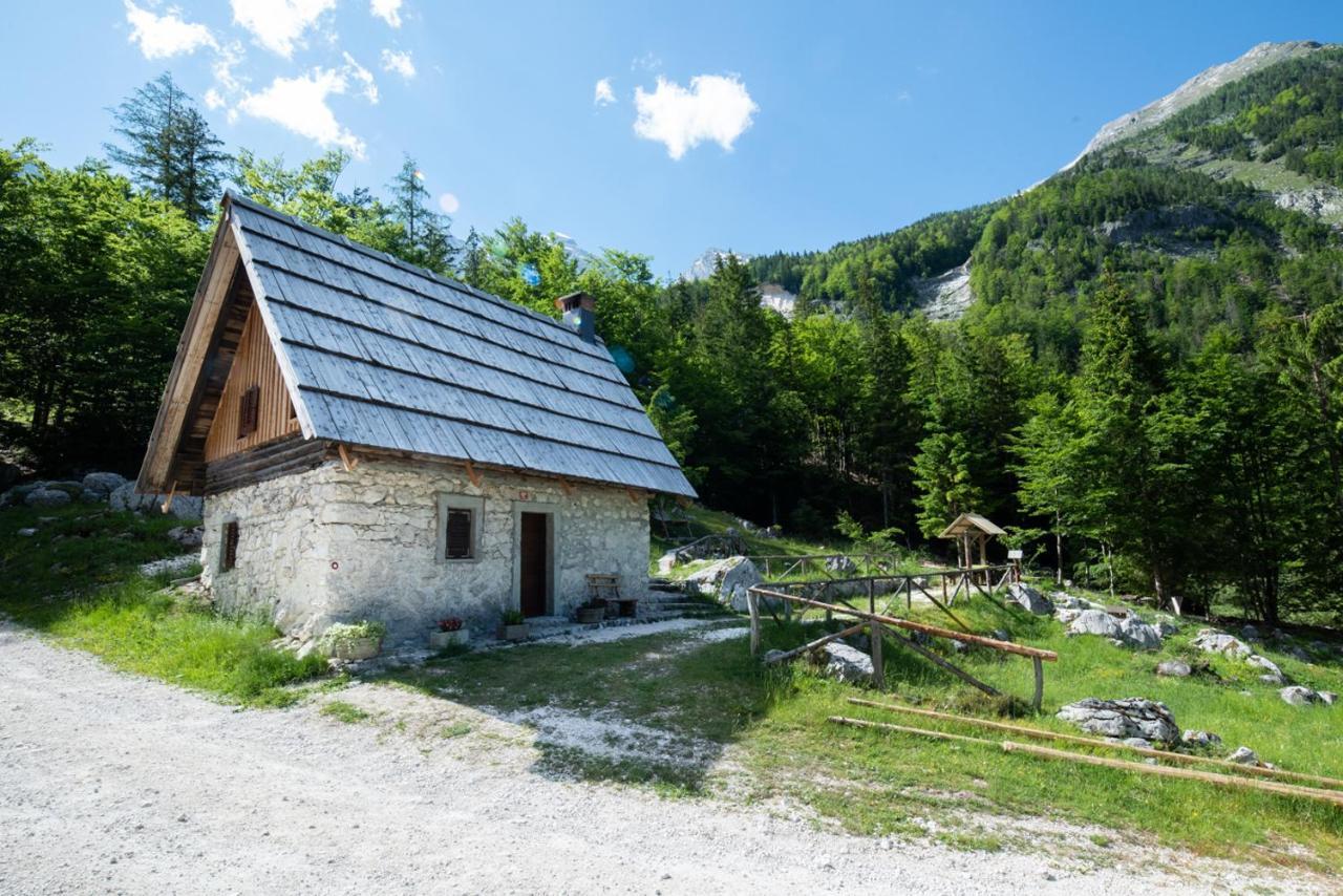 Mountain Heart Holiday House ترينتا المظهر الخارجي الصورة